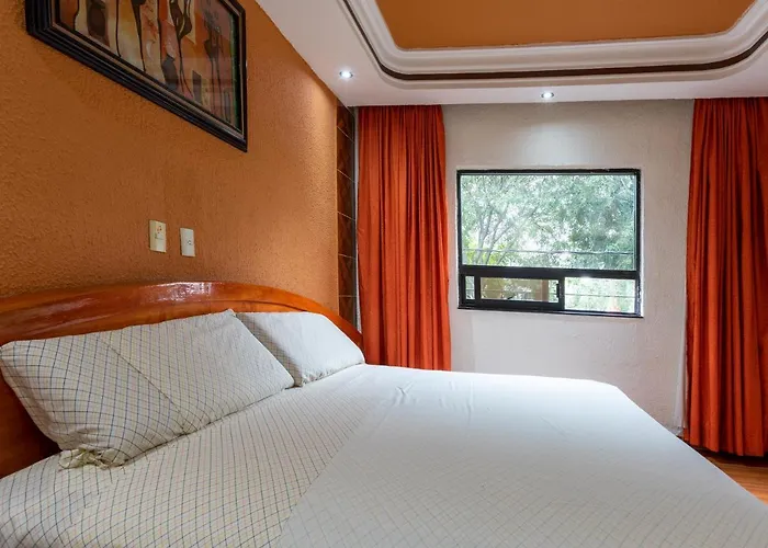 Hotel Vista Alegre Mexico City