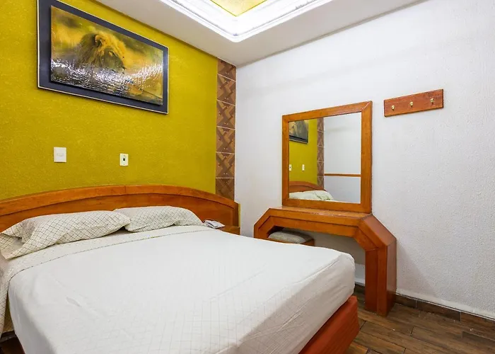Hotel Vista Alegre Mexico City